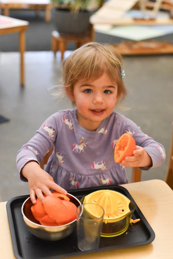 waypoints-1-16-26-5.jpg waypoints-1-16-26-5.jpg