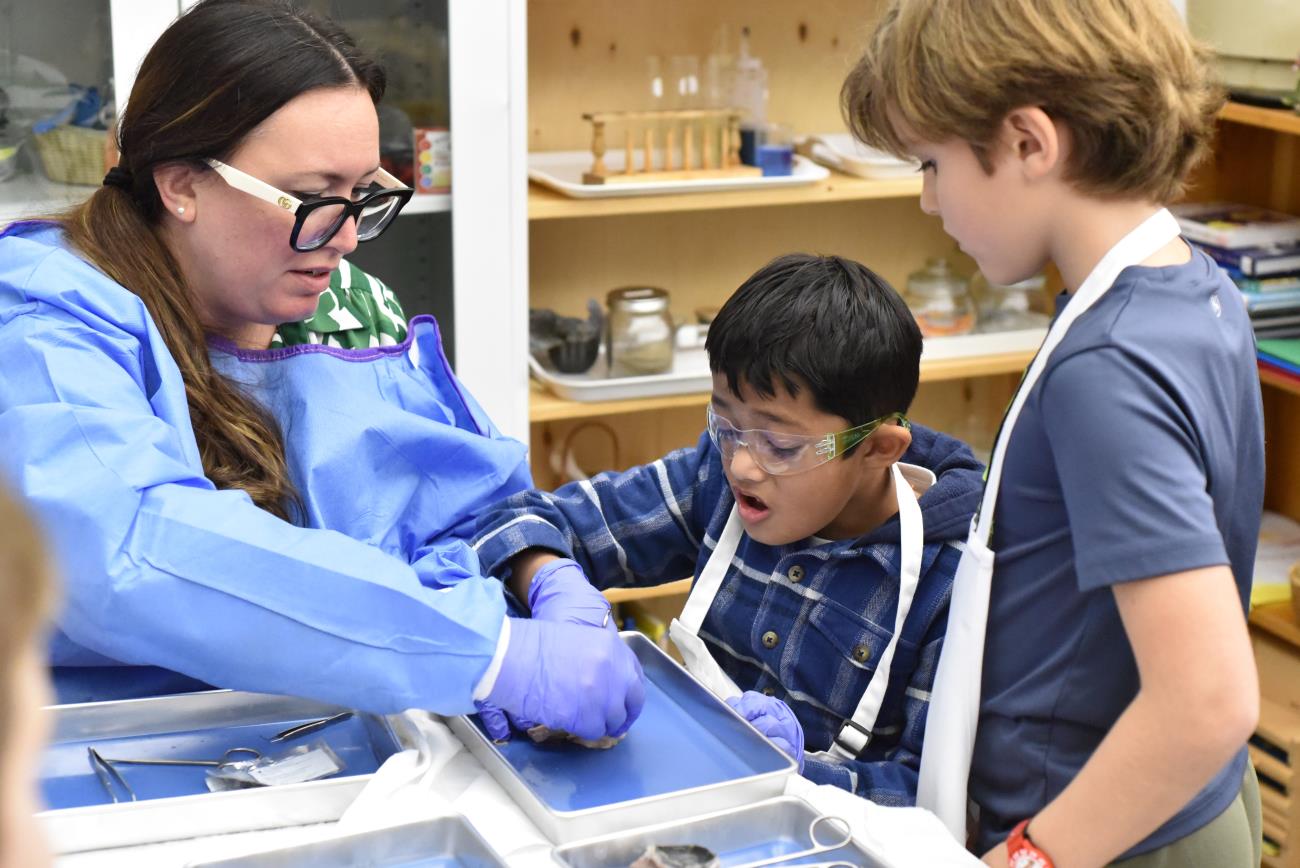 waypoints-11-07-25-14.jpg waypoints-11-07-25-14.jpg