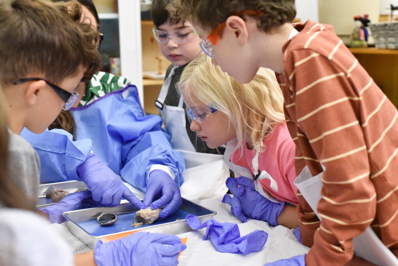 waypoints-11-07-25-44.jpg waypoints-11-07-25-44.jpg