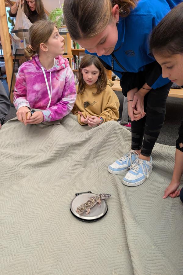 waypoints-11-21-25-17.jpg waypoints-11-21-25-17.jpg