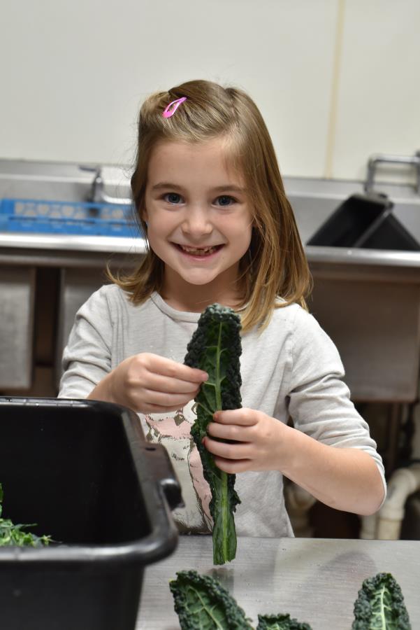 waypoints-11-25-25-70.jpg waypoints-11-25-25-70.jpg