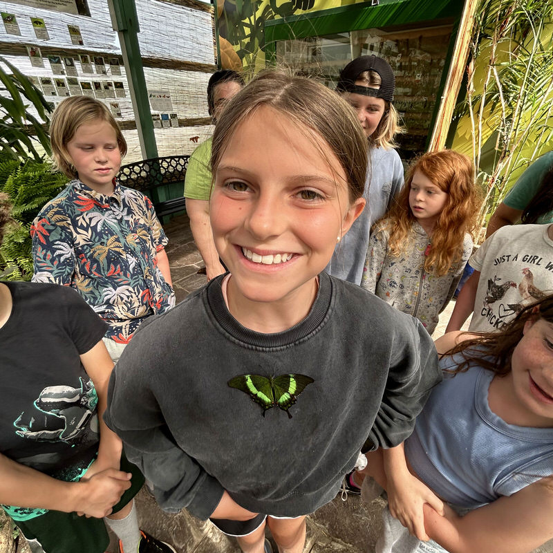 Summer Camp at The Children's House for ages 5-12 Summer Camp at The Children's House for ages 5-12